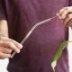 Cam Pipet 1200 Derece Dayanıklı 20 Cm Cam Pipet 1200 Derece Dayanıklı 20 Cm