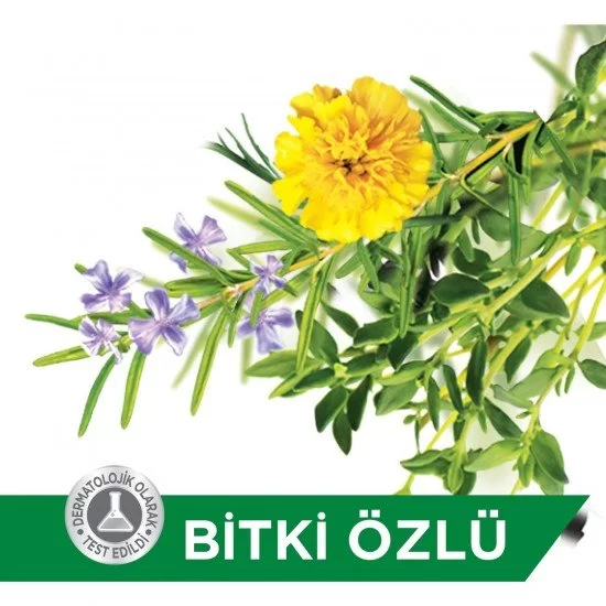 Protex Bitki Özlü Koruma Sıvı Sabun 300 Ml Protex Bitki Özlü Koruma Sıvı Sabun 300 Ml