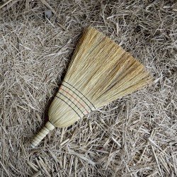 Çalı El Süpürgesi Çalı El Süpürgesi