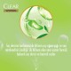 Clear Women Kepeğe Karşı Etkili Şampuan Bitkisel Sentez Aloe Vera & Çay Ağacı Yağı 350 ml